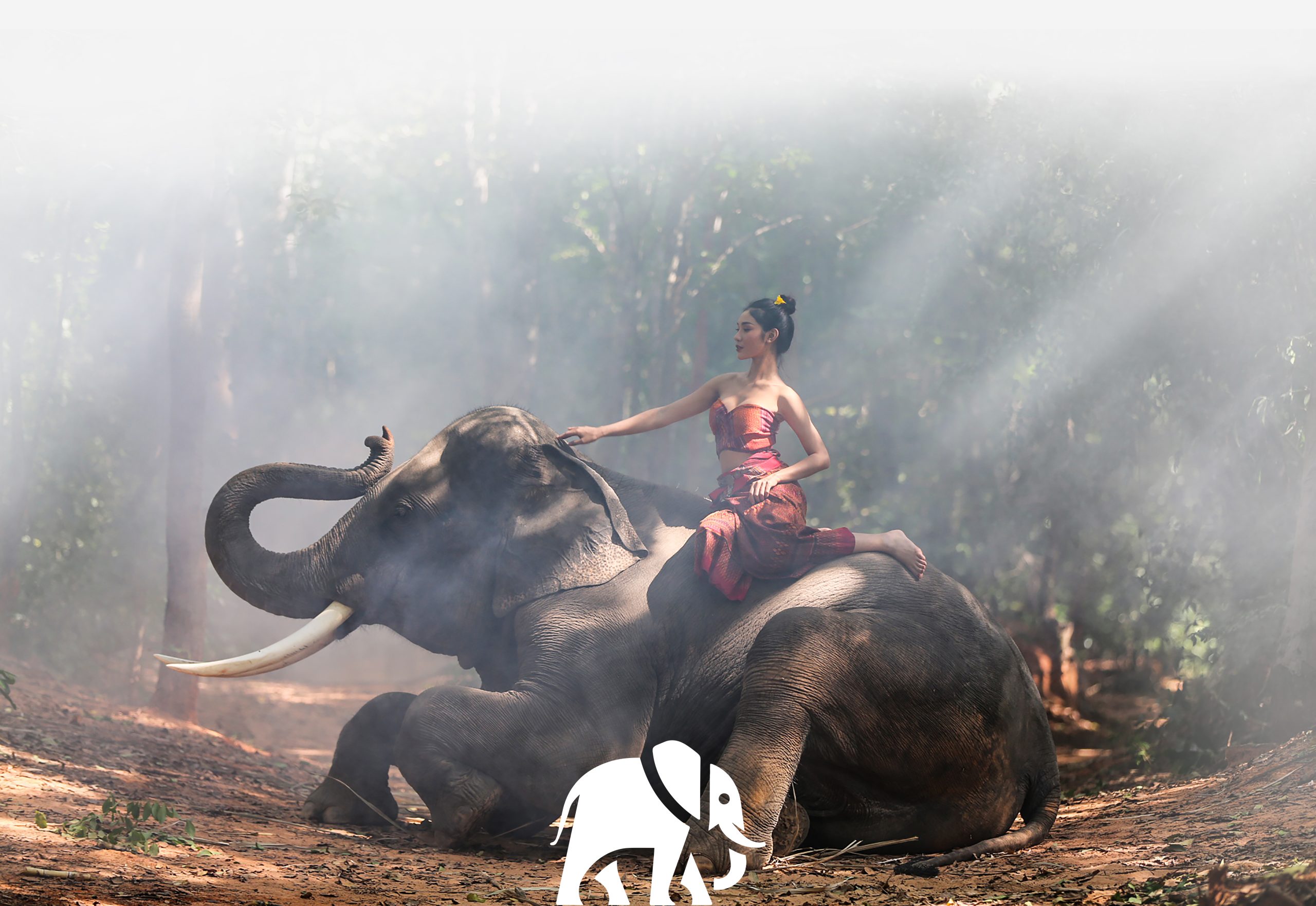 Thaiwander Travel Best Tour Agency in Bangkok, Thailand Thailand Countryside; Silhouette Elephant On The Background Of S