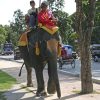 Thaiwander Travel Best Tour Agency in Bangkok, Thailand Elephant Riding Thailand Siam Ayutthaya Asia (1) Copy