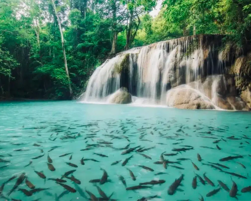 Thaiwander Travel Best Tour Agency in Bangkok, Thailand 1 รวม 7 ที่เล่นน้ำกาญจนบุรี ชุ่มฉ่ำท่ามกลางธรรมชาติ
