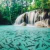 Thaiwander Travel Best Tour Agency in Bangkok, Thailand 1 รวม 7 ที่เล่นน้ำกาญจนบุรี ชุ่มฉ่ำท่ามกลางธรรมชาติ