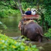 Thaiwander Travel Best Tour Agency in Bangkok, Thailand 20170824055507 718986900 2013 0
