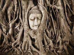 Thaiwander Travel Best Tour Agency in Bangkok, Thailand 525435981474562251 วาง Copy.pdf Image 051