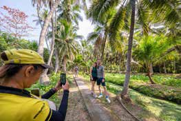 Thaiwander Travel Best Tour Agency in Bangkok, Thailand 525435981474562251 วาง Copy.pdf Image 150