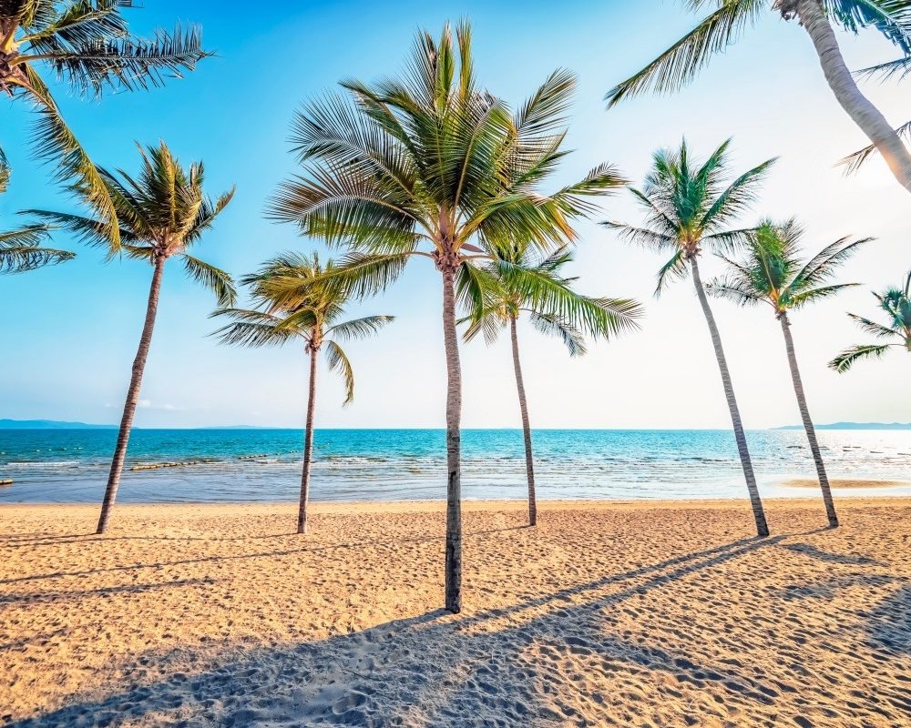 Thaiwander Travel Best Tour Agency in Bangkok, Thailand Jomtien,beach,in,pattaya,,thailand