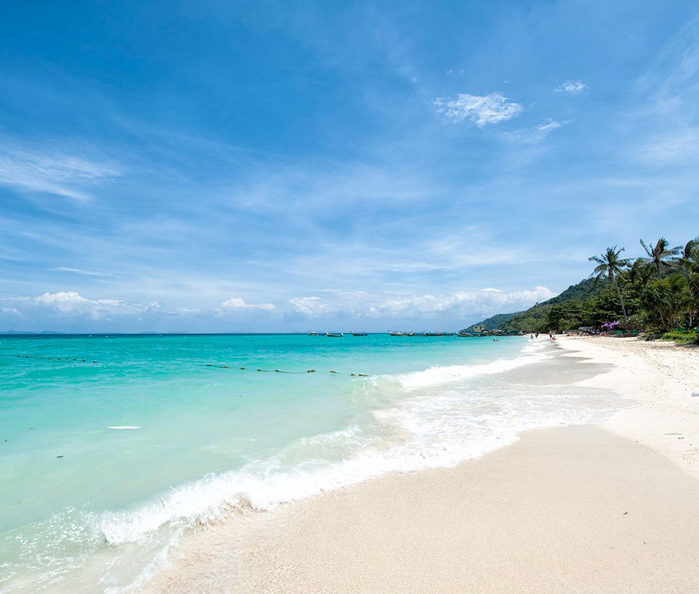 Thaiwander Travel Best Tour Agency in Bangkok, Thailand About Phi Phi Island 1