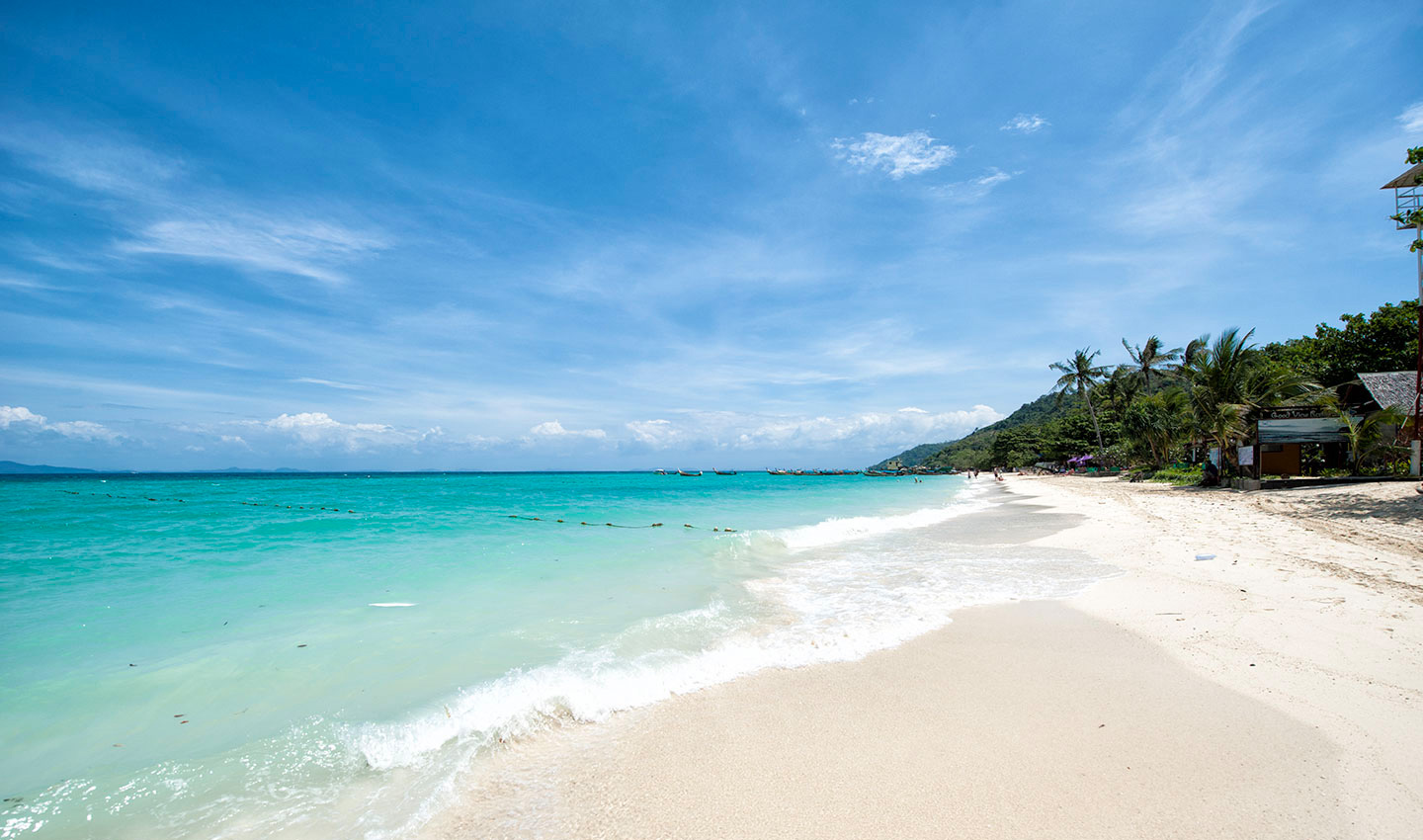 Thaiwander Travel Best Tour Agency in Bangkok, Thailand About Phi Phi Island 1