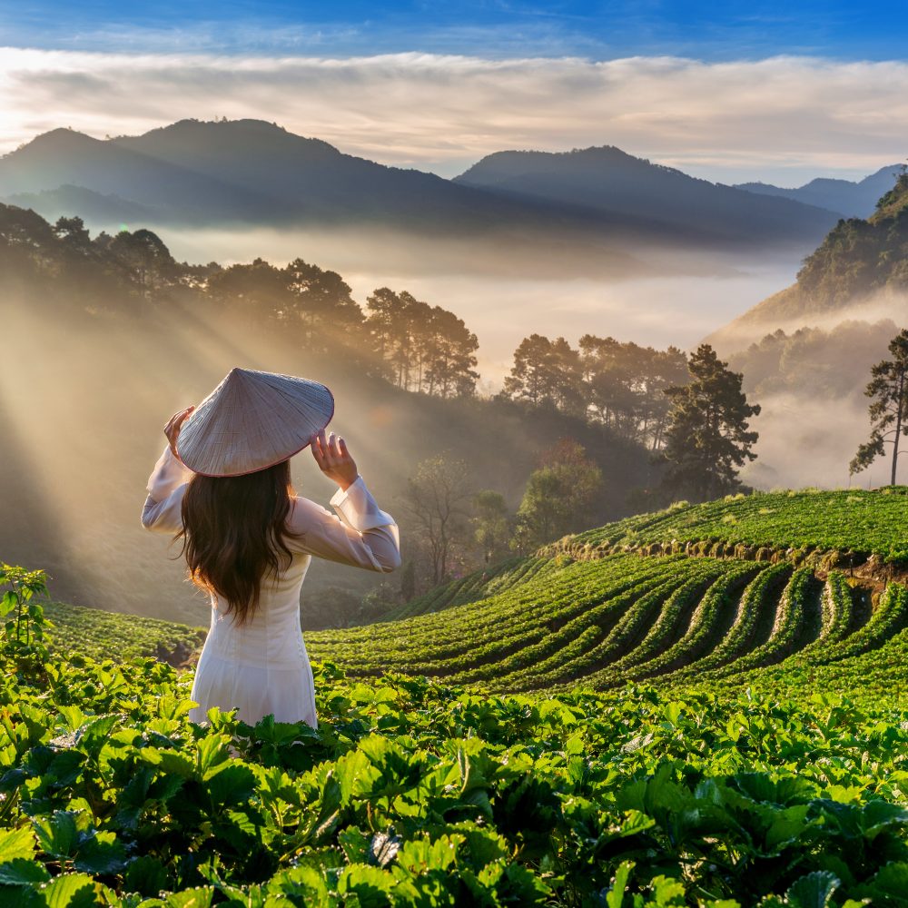 Thaiwander Travel Best Tour Agency in Bangkok, Thailand Asian Woman Wearing Vietnam Culture Traditional In Strawberry Ga