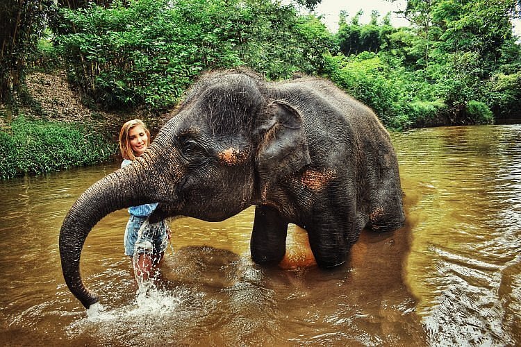 Thaiwander Travel Best Tour Agency in Bangkok, Thailand Caption