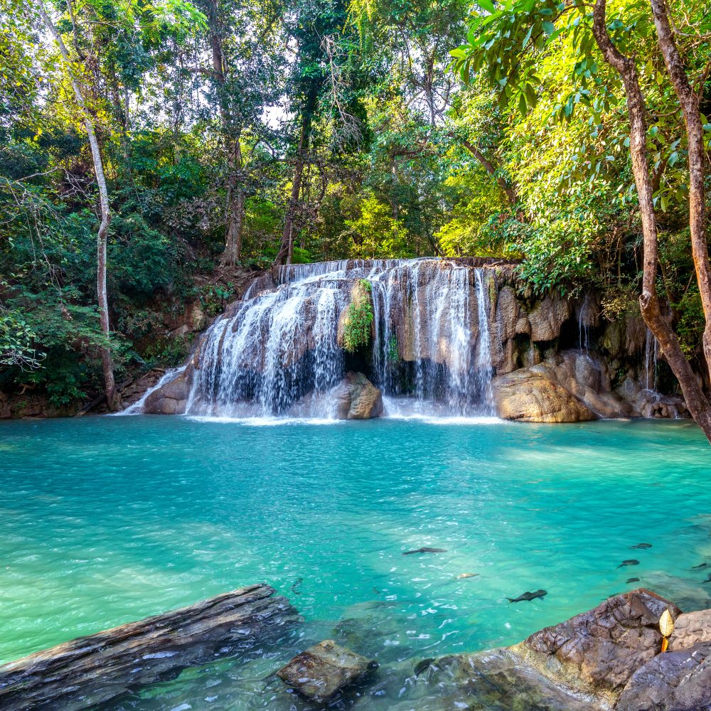 Thaiwander Travel Best Tour Agency in Bangkok, Thailand Erawan Waterfall In Thailand. Beautiful Waterfall With Emerald P