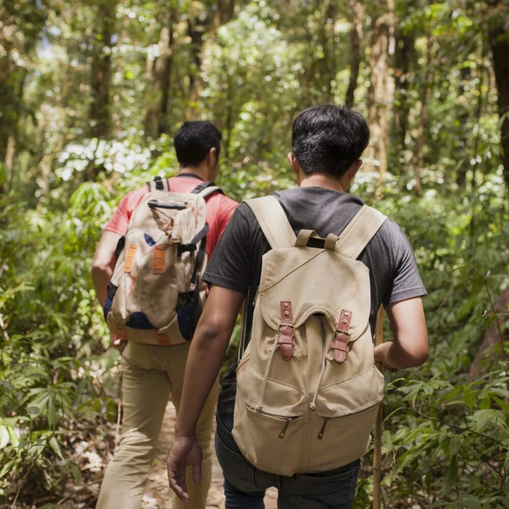 Thaiwander Travel Best Tour Agency in Bangkok, Thailand Friends Hiking
