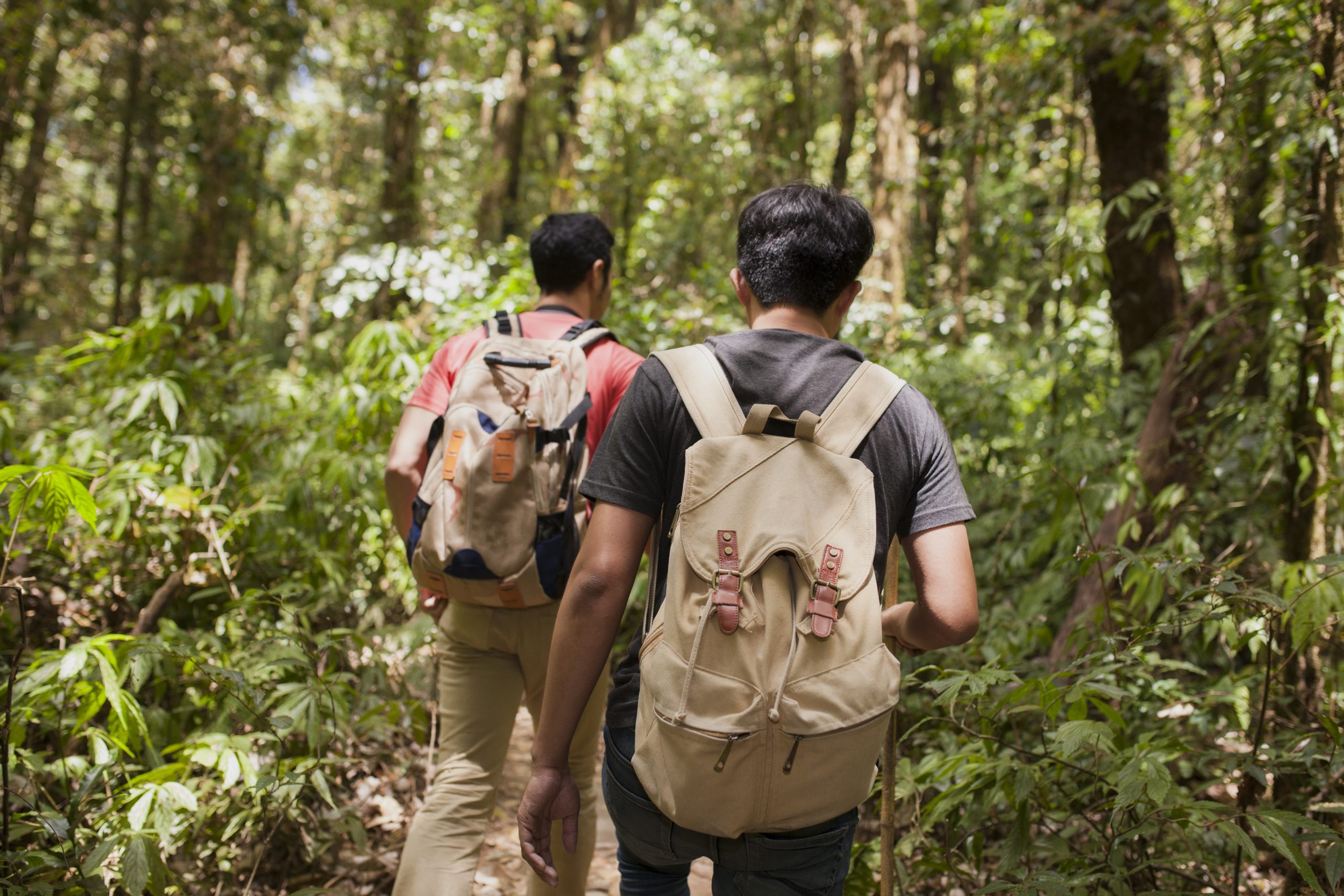 Thaiwander Travel Best Tour Agency in Bangkok, Thailand Friends Hiking