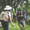 Thaiwander Travel Best Tour Agency in Bangkok, Thailand A Happy Hiker Walks Through The Jungle With A Backpack.