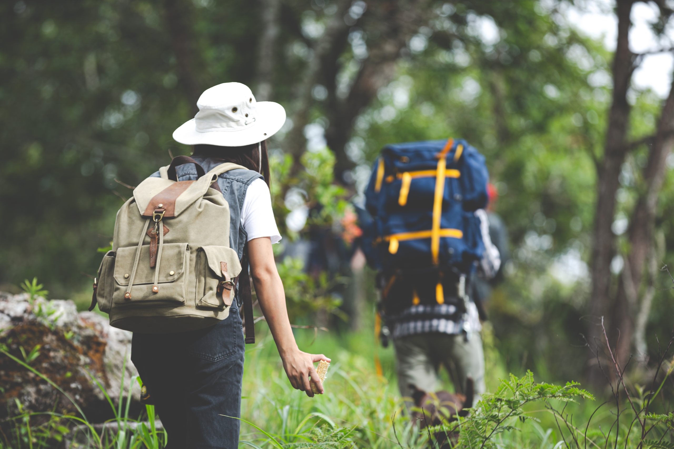 Thaiwander Travel Best Tour Agency in Bangkok, Thailand A Happy Hiker Walks Through The Jungle With A Backpack.