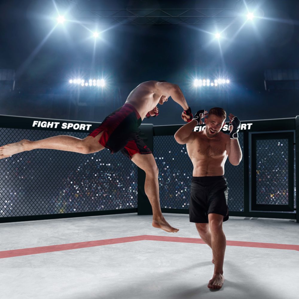 Thaiwander Travel Best Tour Agency in Bangkok, Thailand Mma Fighters Professional Ring Fighting Championship