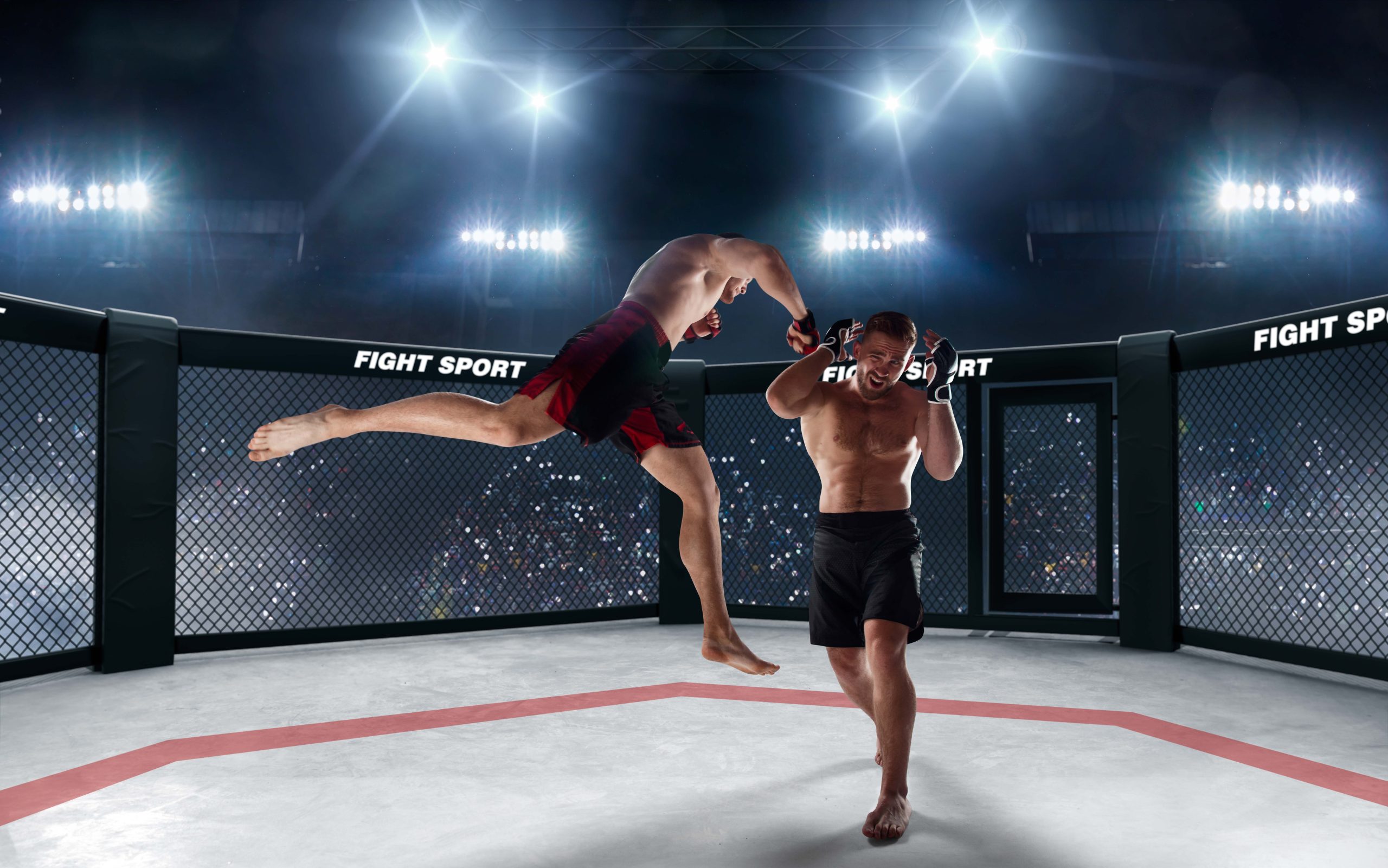 Thaiwander Travel Best Tour Agency in Bangkok, Thailand Mma Fighters Professional Ring Fighting Championship