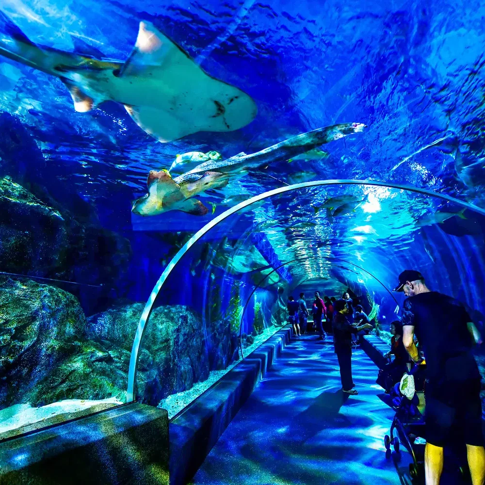 Thaiwander Travel Best Tour Agency in Bangkok, Thailand Ru7p3ee6sytyh2ns9zyd8zmmv8ch 1542262668 Shutterstock 1214592766