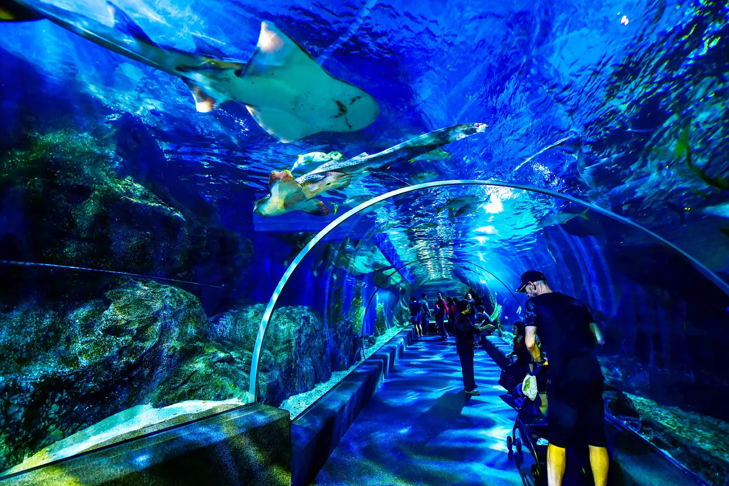 Thaiwander Travel Best Tour Agency in Bangkok, Thailand Ru7p3ee6sytyh2ns9zyd8zmmv8ch 1542262668 Shutterstock 1214592766