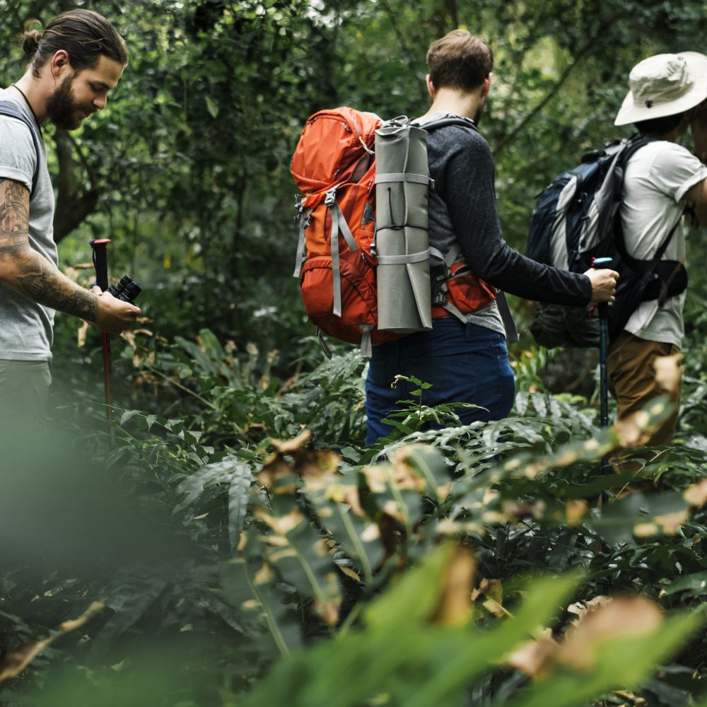 Thaiwander Travel Best Tour Agency in Bangkok, Thailand Trekking In A Forest