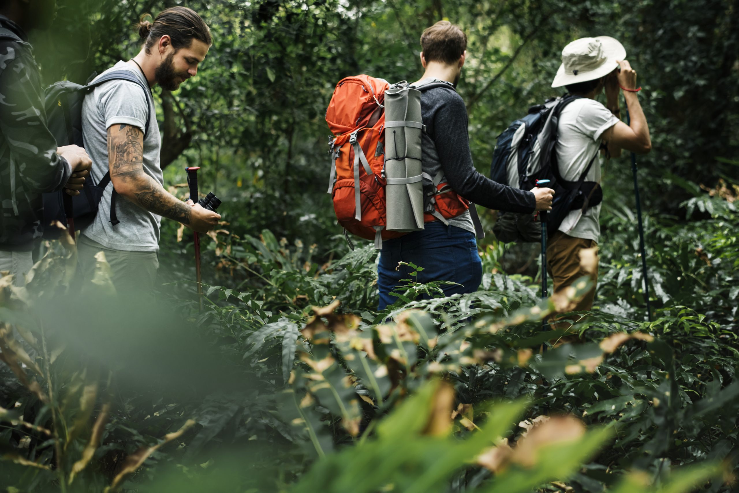 Thaiwander Travel Best Tour Agency in Bangkok, Thailand Trekking In A Forest