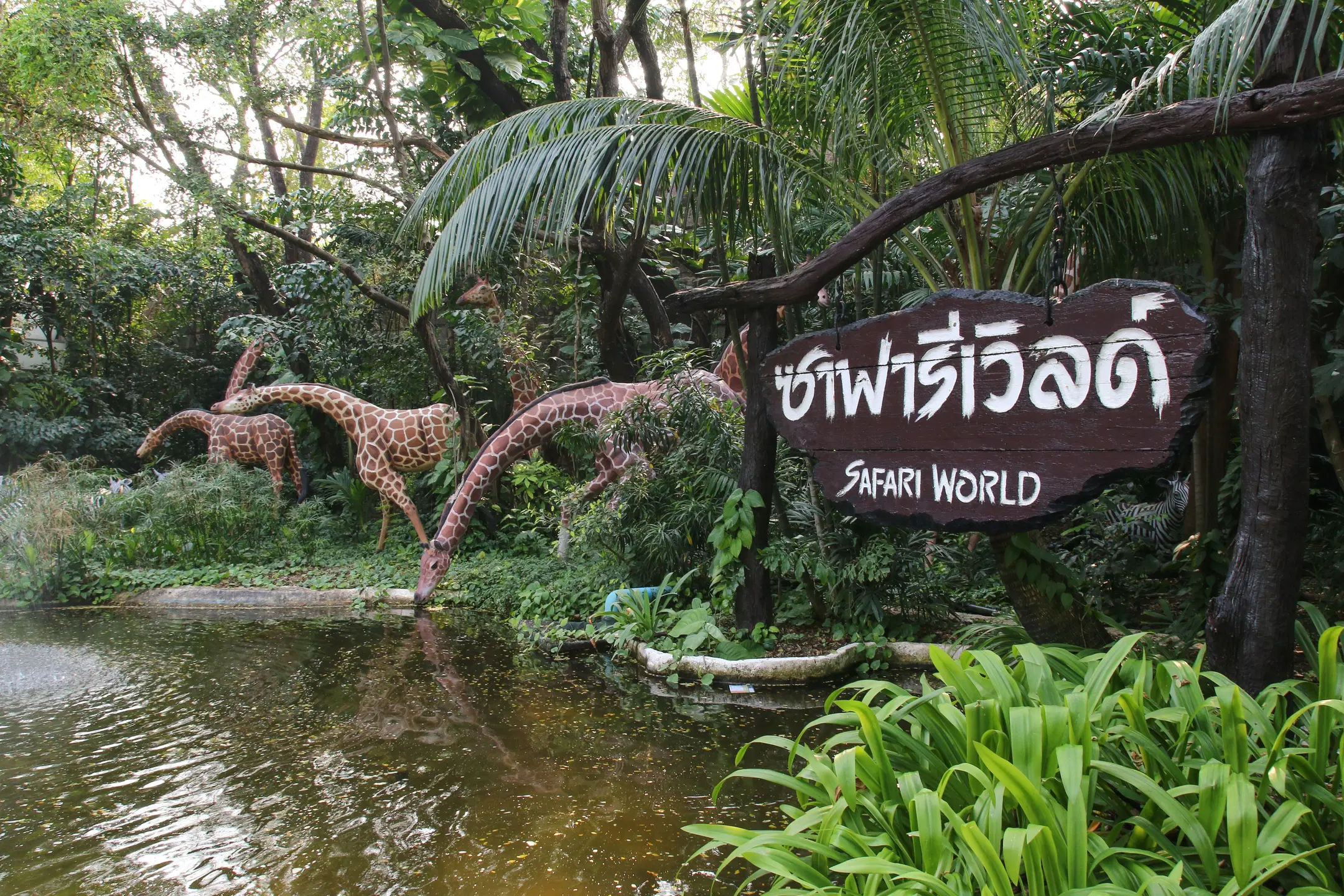Thaiwander Travel Best Tour Agency in Bangkok, Thailand W97k1dpstxoppk8ykntswxqr68p3 Bbv5da2sv1r8x07ogk7vkgxpqqr6 Shu